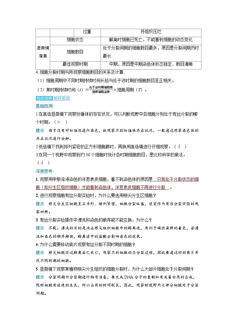 备考2024届高考生物一轮复习讲义第四章细胞的生命历程课时1细胞的增殖考点3观察根尖分生区组织细胞的有丝分裂02