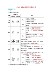 备考2024届高考生物一轮复习讲义第四章细胞的生命历程课时1细胞的增殖考点2细胞的有丝分裂和无丝分裂