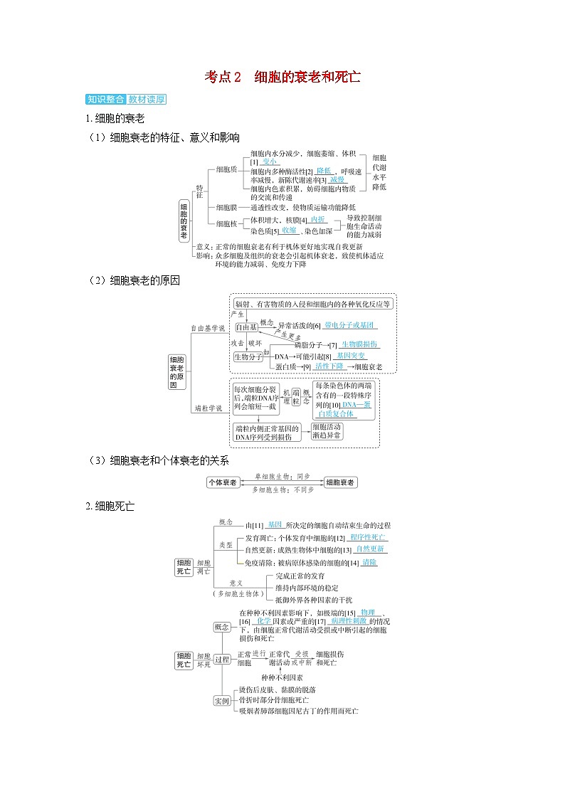 备考2024届高考生物一轮复习讲义第四章细胞的生命历程课时3细胞的分化衰老和死亡考点2细胞的衰老和死亡01