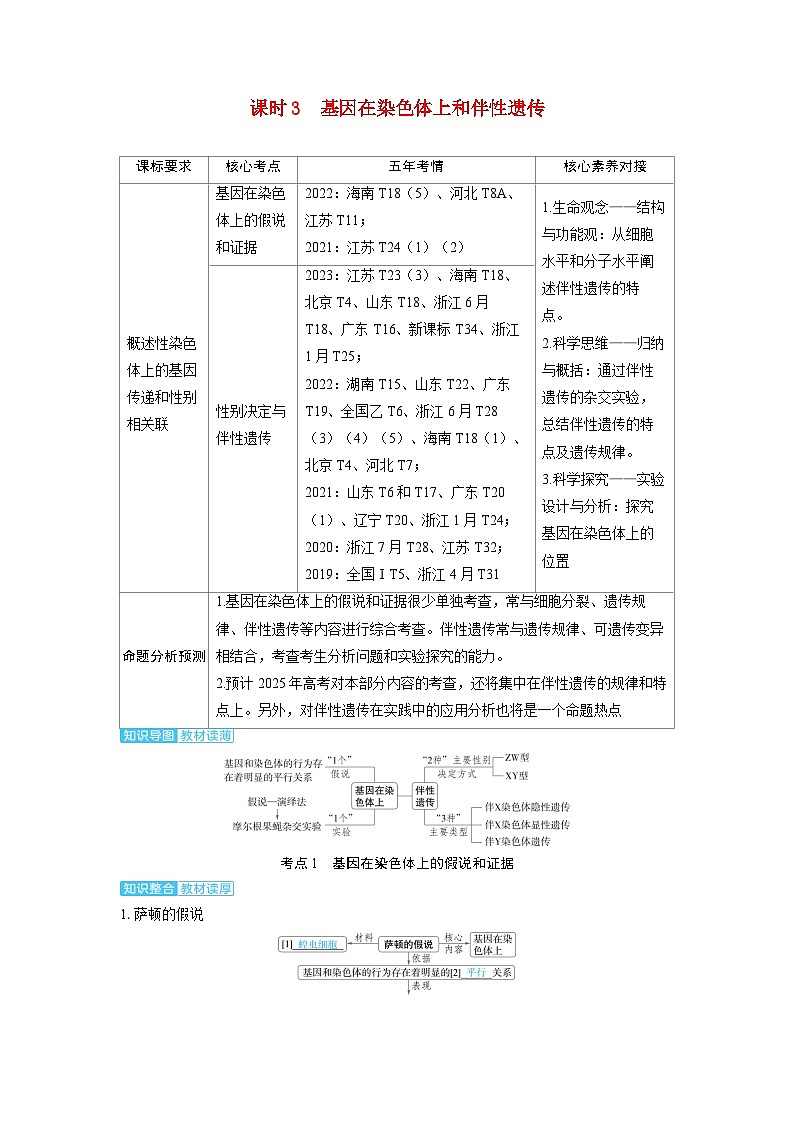 备考2024届高考生物一轮复习讲义第五章基因的传递规律课时3基因在染色体上和伴性遗传考点1基因在染色体上的假说和证据01