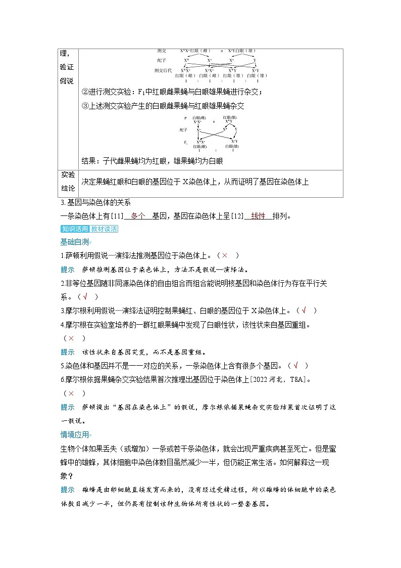备考2024届高考生物一轮复习讲义第五章基因的传递规律课时3基因在染色体上和伴性遗传考点1基因在染色体上的假说和证据03
