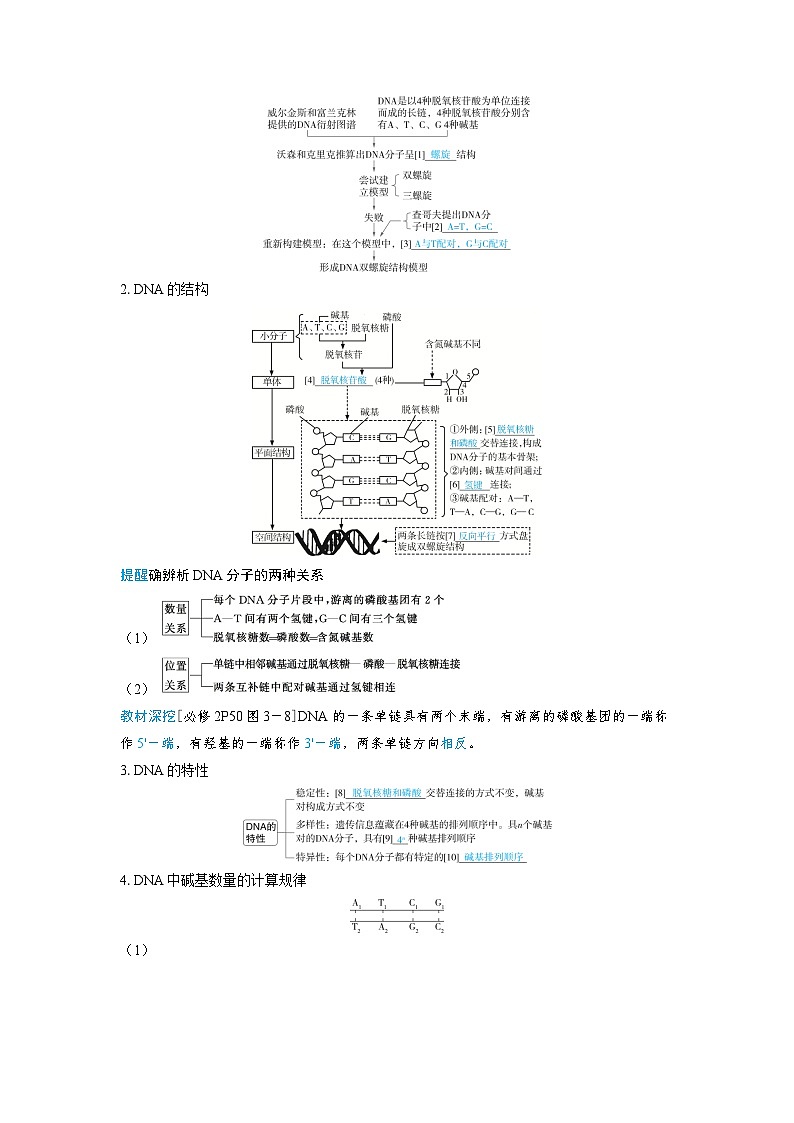 备考2024届高考生物一轮复习讲义第六章遗传的分子基础课时2DNA分子的结构复制及基因的本质考点1DNA的结构02