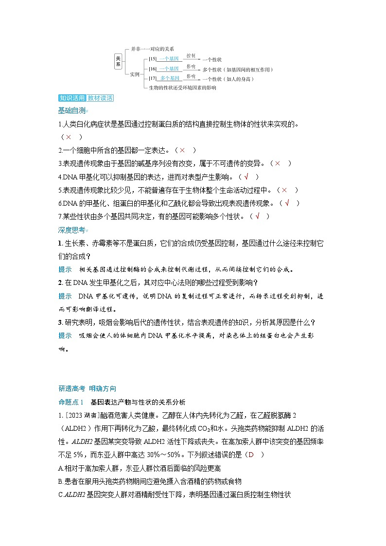 备考2024届高考生物一轮复习讲义第六章遗传的分子基础课时3基因的表达考点3基因表达与性状的关系第2页