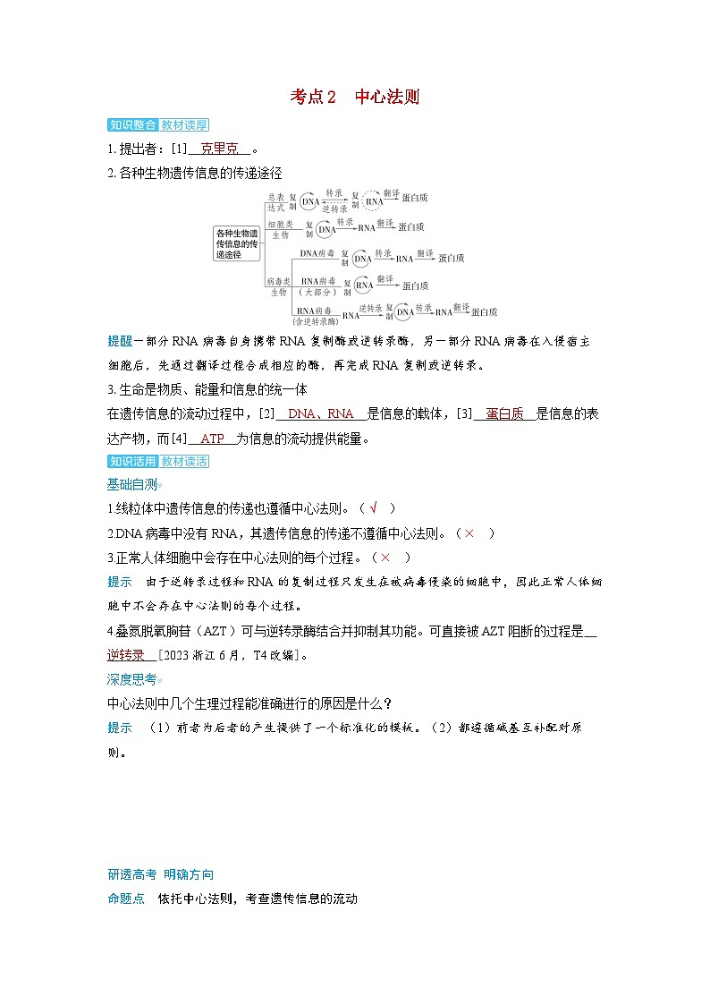 备考2024届高考生物一轮复习讲义第六章遗传的分子基础课时3基因的表达考点2中心法则第1页