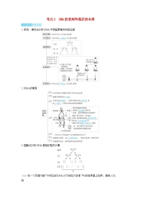 备考2024届高考生物一轮复习讲义第六章遗传的分子基础课时2DNA分子的结构复制及基因的本质考点2DNA的复制和基因的本质