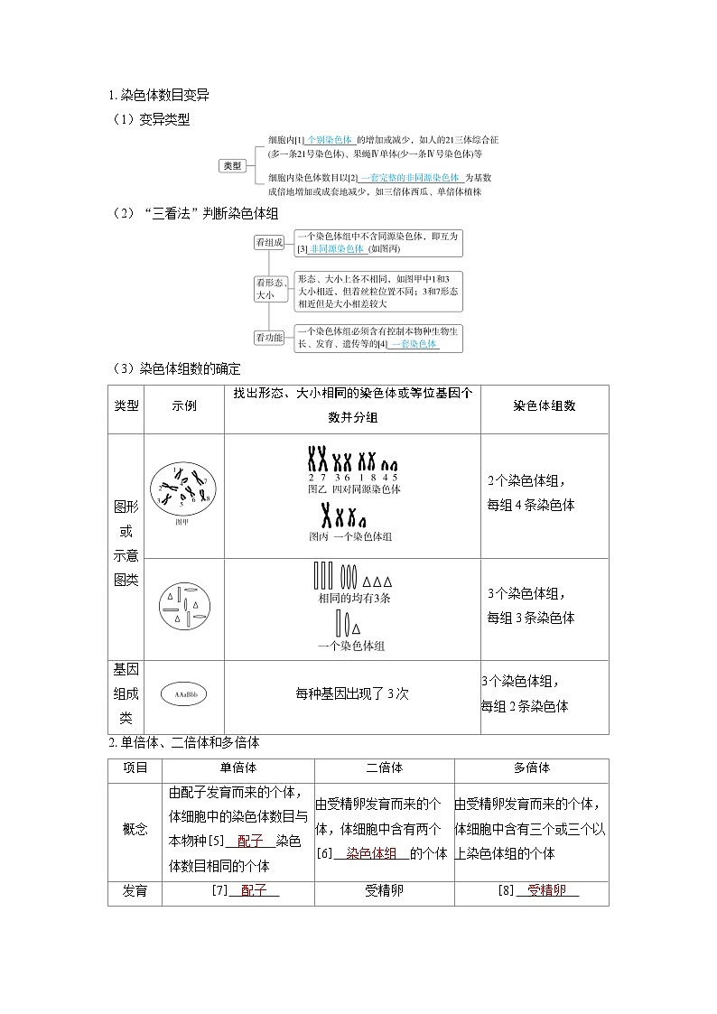 备考2024届高考生物一轮复习讲义第七章生物的变异和进化课时2染色体变异与生物育种考点1染色体数目变异和结构变异02