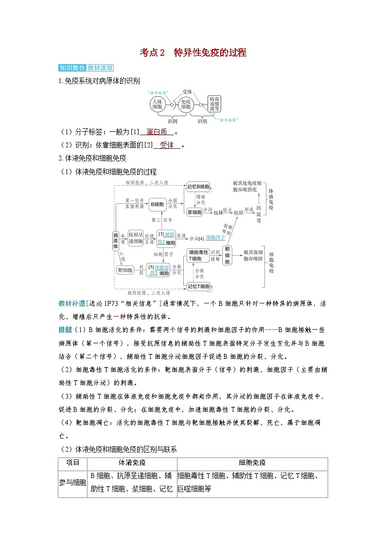 备考2024届高考生物一轮复习讲义第八章动物和人体生命活动的调节课时6免疫调节考点2特异性免疫的过程01
