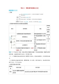 备考2024届高考生物一轮复习讲义第八章动物和人体生命活动的调节课时2神经调节的结构基础和基本方式考点2神经调节的基本方式