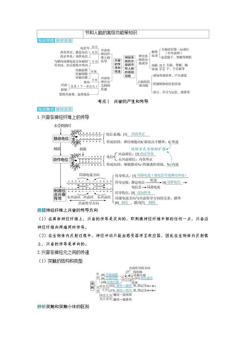 备考2024届高考生物一轮复习讲义第八章动物和人体生命活动的调节课时3兴奋的传导和传递神经系统的分级调节和人脑的高级功能考点1兴奋的产生和传导02