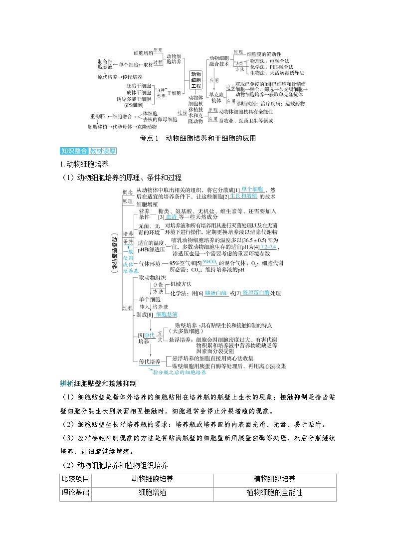 备考2024届高考生物一轮复习讲义第十一章生物技术与工程课时4动物细胞工程考点1’物细胞培养和干细胞的应用02