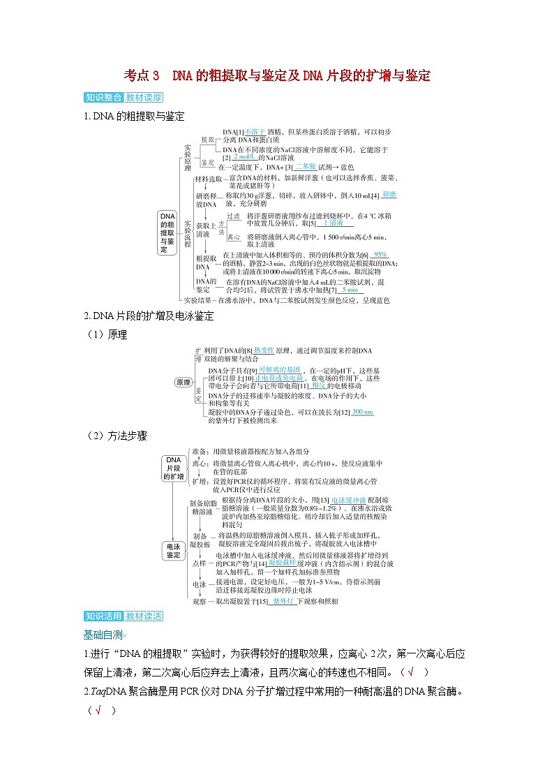备考2024届高考生物一轮复习讲义第十一章生物技术与工程课时6基因工程的基本工具与操作程序考点3DNA的粗提取与鉴定及DNA片段的扩增与鉴定01