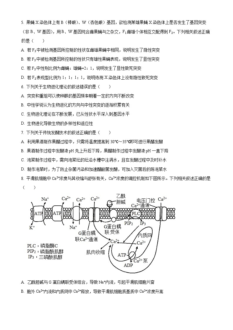 2024届江苏省连云港市高三一模生物试题02