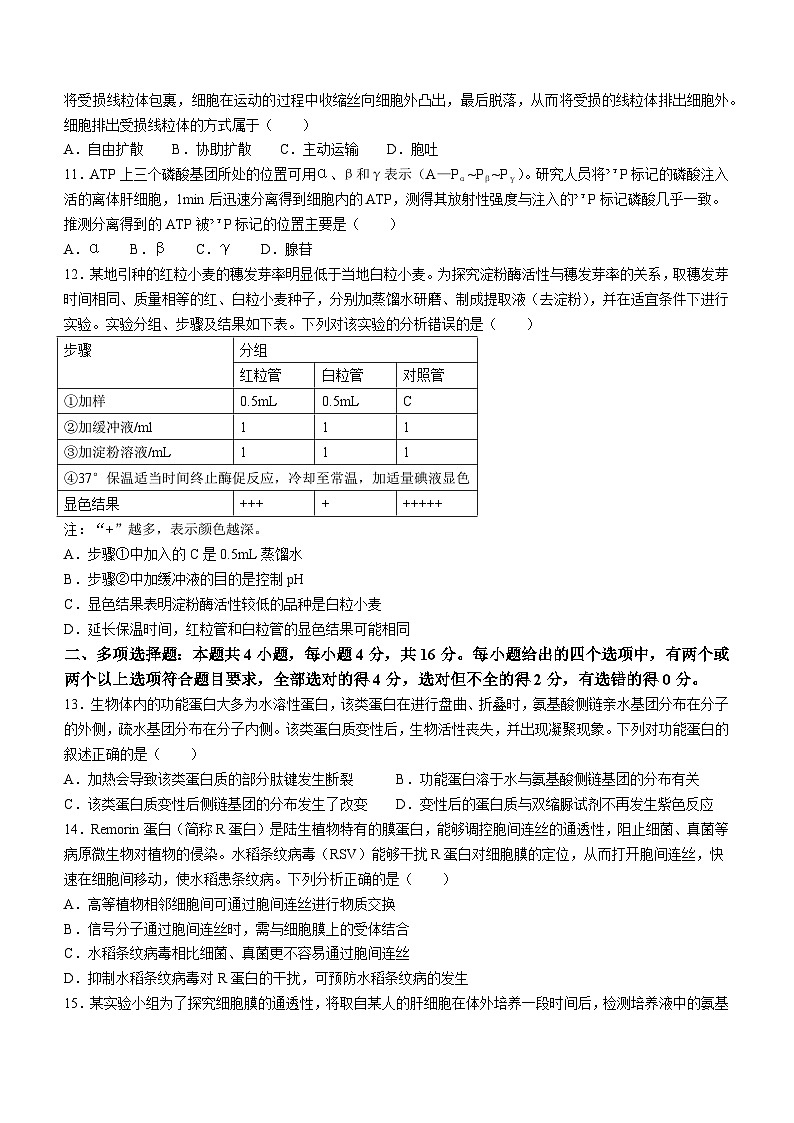 江西省吉安市2023-2024学年高一上学期1月期末生物试题（Word版含解析）03