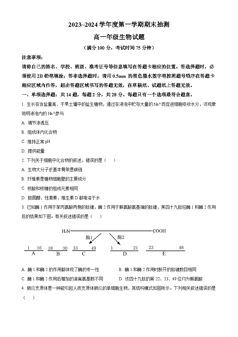 江苏省徐州市2023-2024学年高一生物上学期1月期末抽测试题（Word版附解析）01