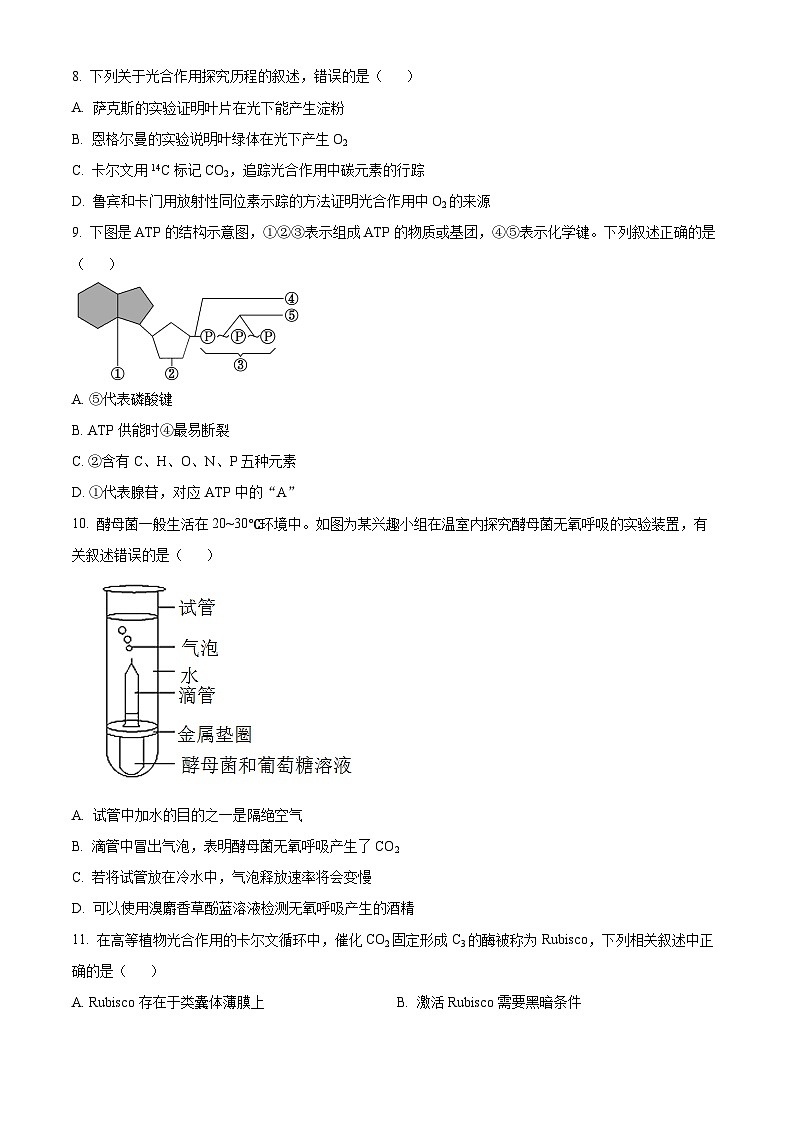 江苏省徐州市2023-2024学年高一生物上学期1月期末抽测试题（Word版附解析）03