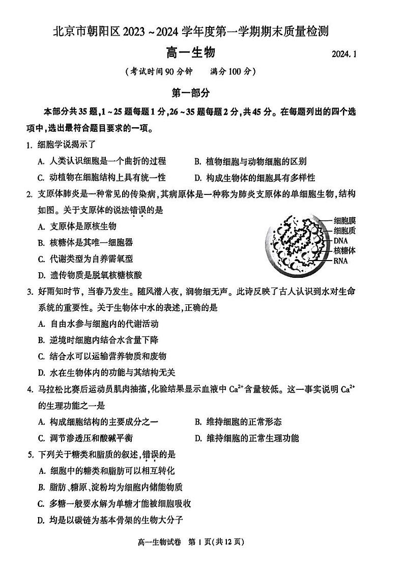 北京朝阳区2023-2024高一上学期期末生物试卷及答案01