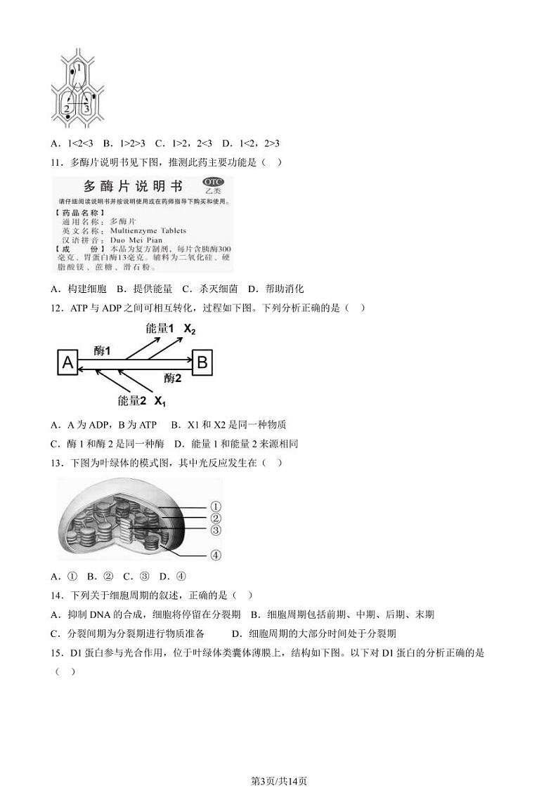 北京丰台区2023-2024高一上学期期末生物试卷及答案第3页