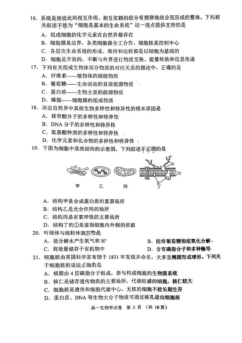 北京石景山区2023-2024高一上学期期末生物试卷及答案03