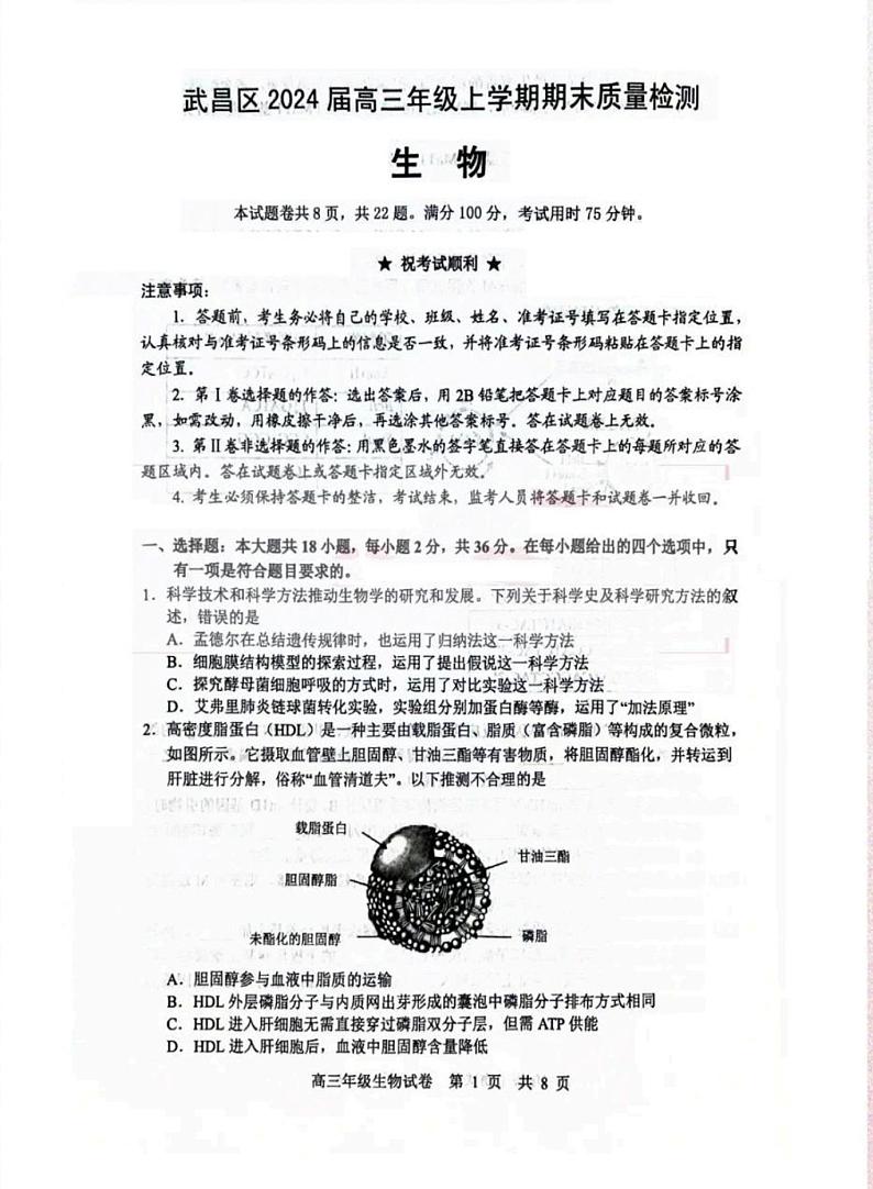 湖北省武汉市武昌区2023-2024学年高三上学期期末质量检测生物试题第1页
