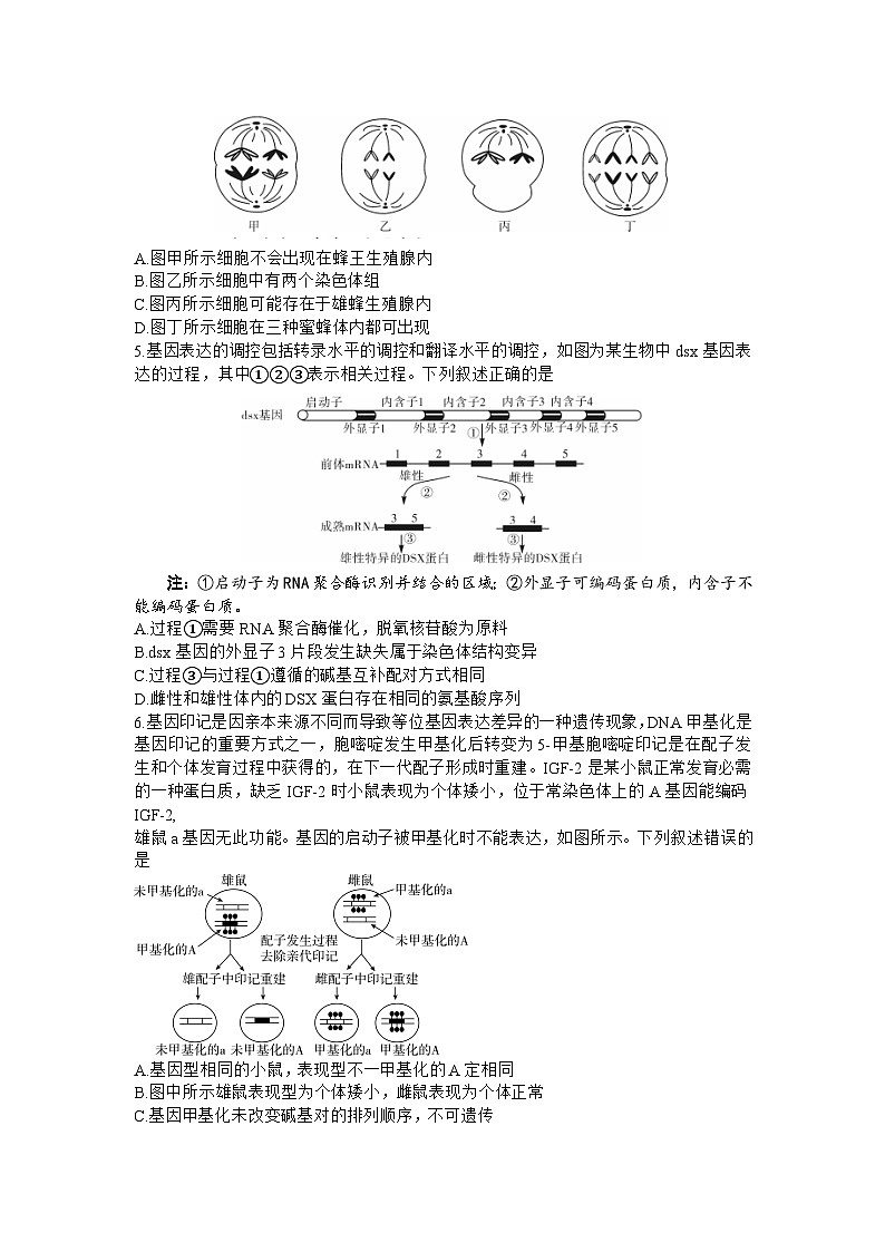 2024届湖南省邵阳市高三一模生物试题第2页