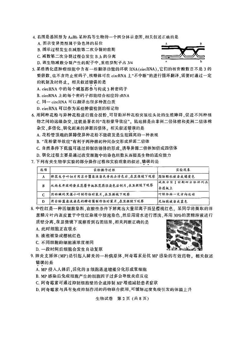 2024届江苏省南通等六市高三第一次模拟考试生物试题（无答）第2页