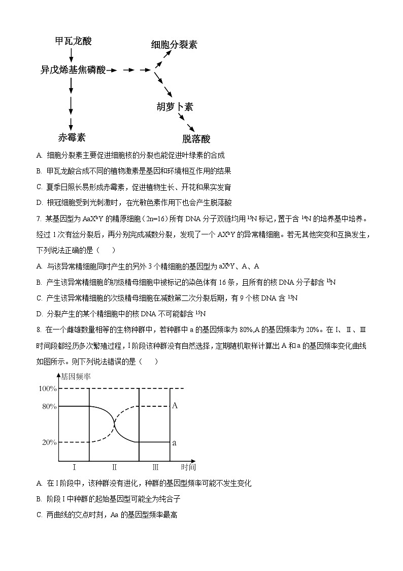 2024届山东省枣庄市高三上学期期末考试试题生物03