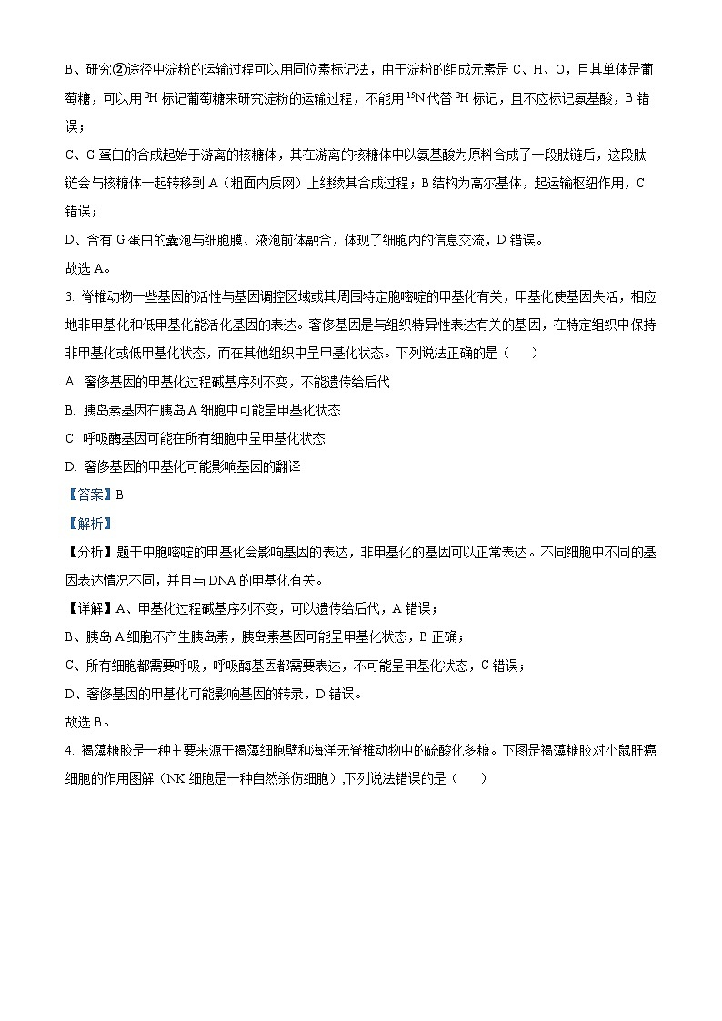 2024届山东省枣庄市高三上学期期末考试试题生物03