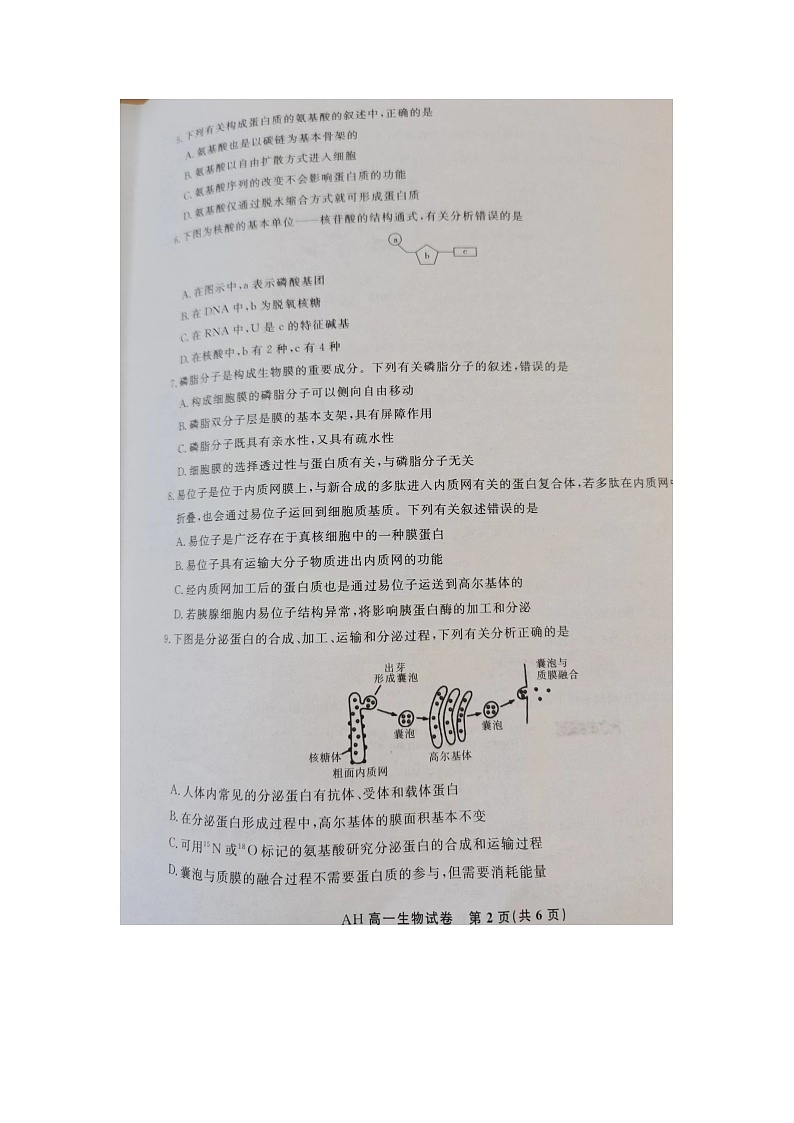 安徽省亳州市蒙城县2023-2024学年高一上学期期末联考生物试题02