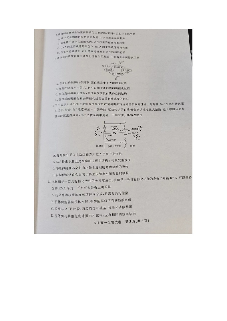 安徽省亳州市蒙城县2023-2024学年高一上学期期末联考生物试题03