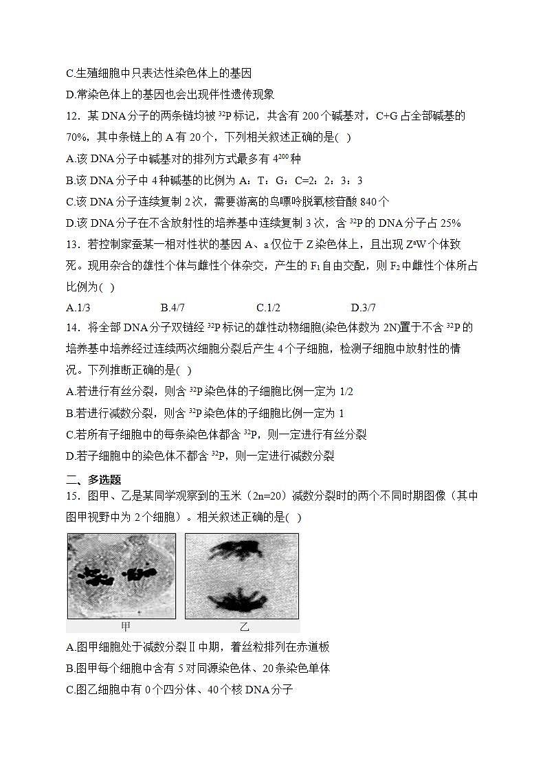 江苏省扬州市高邮市2022-2023学年高一下学期期中生物试卷(含答案)03