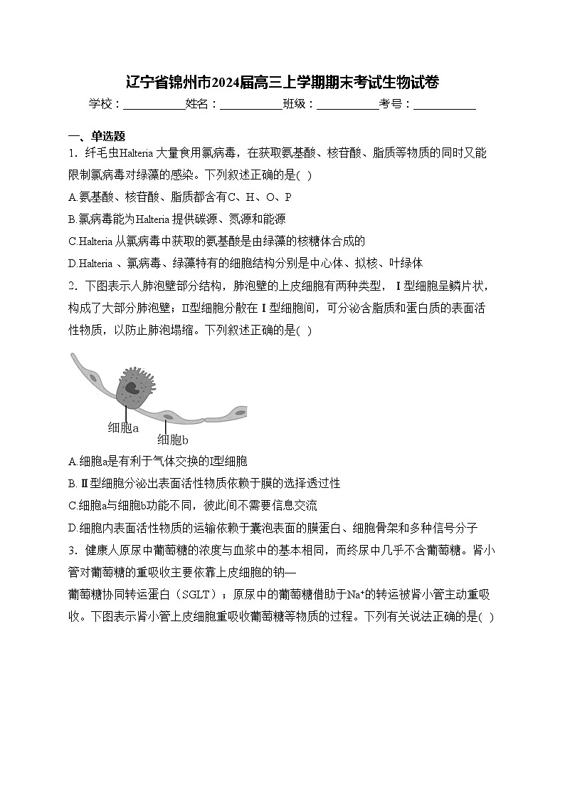 辽宁省锦州市2024届高三上学期期末考试生物试卷(含答案)第1页