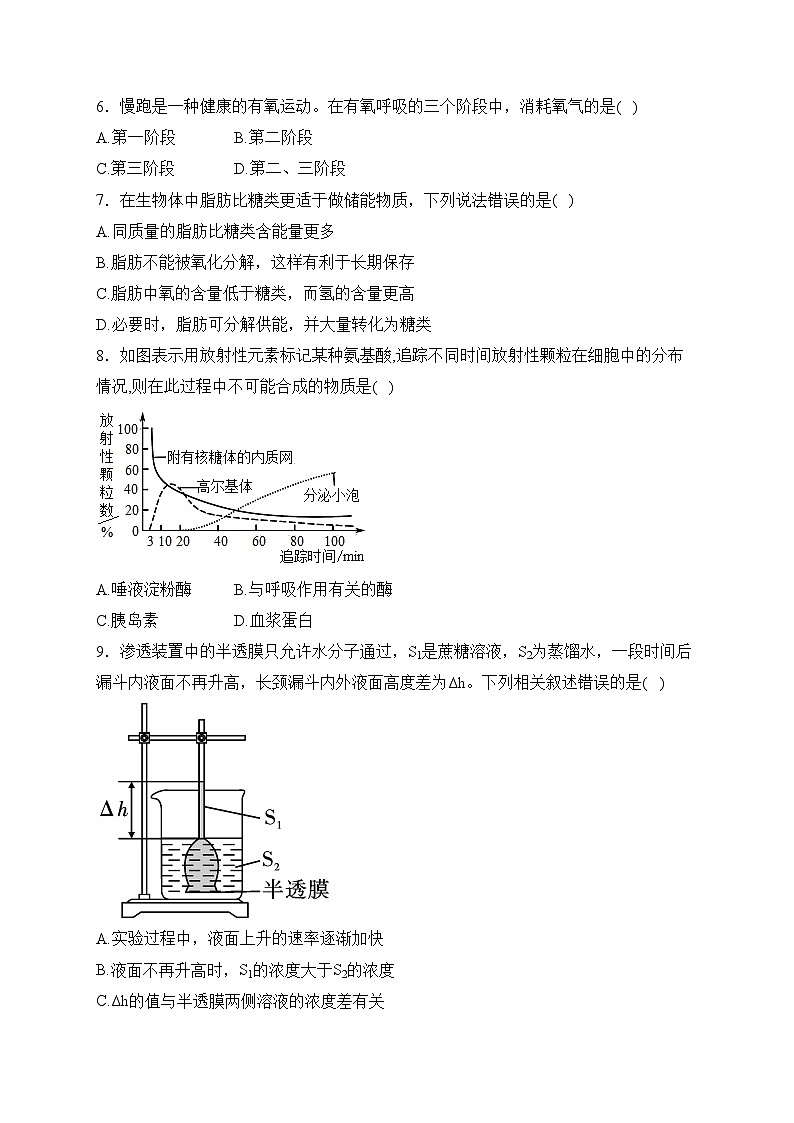 内蒙古赤峰市红山区2023-2024学年高一上学期期末考试生物试卷(含答案)第2页
