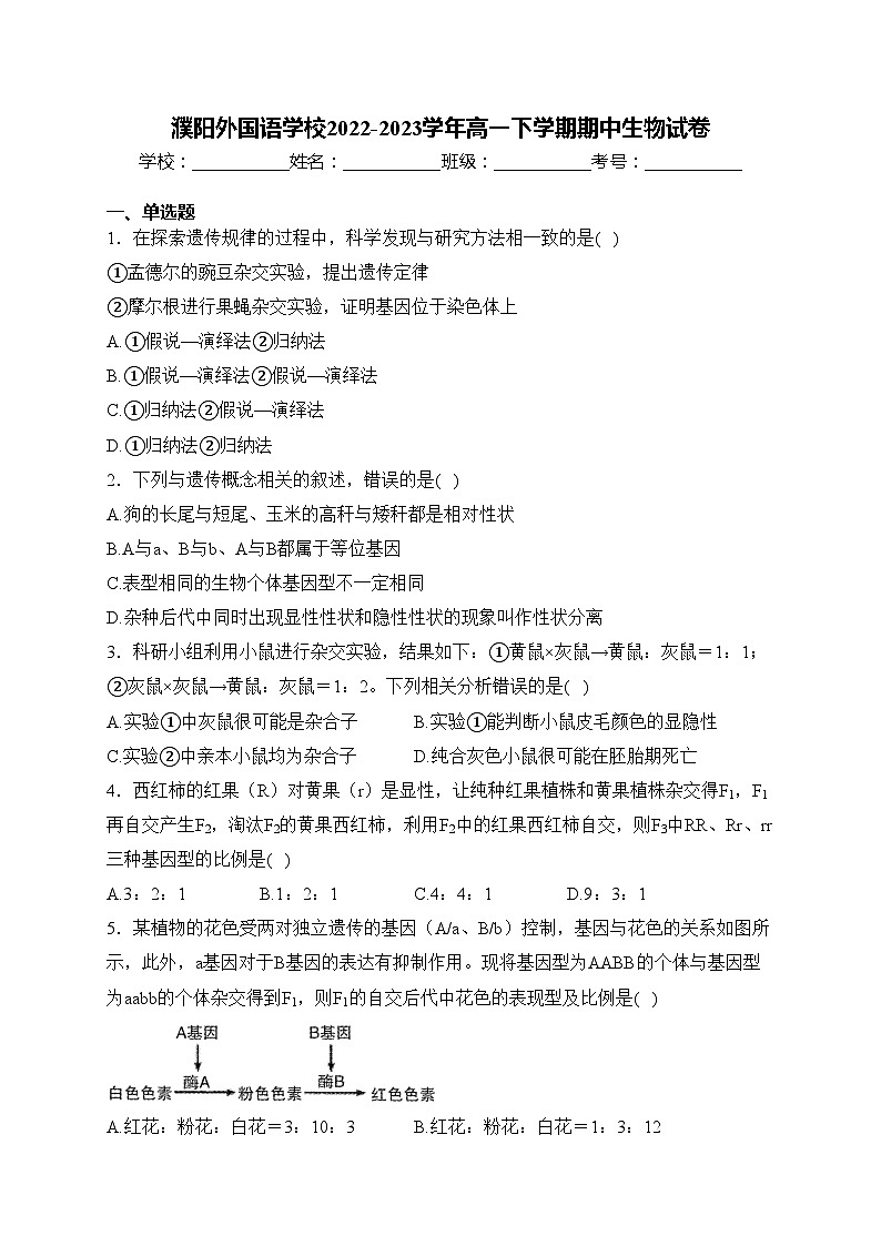 濮阳外国语学校2022-2023学年高一下学期期中生物试卷(含答案)01