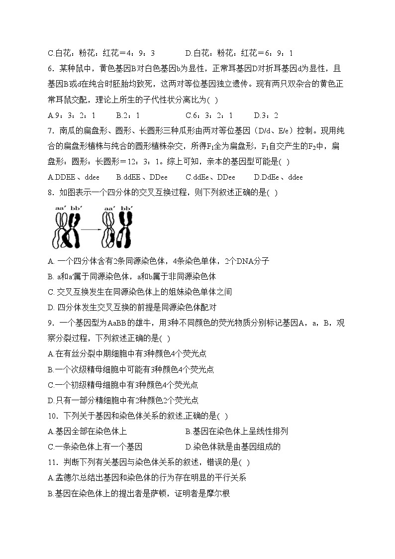 濮阳外国语学校2022-2023学年高一下学期期中生物试卷(含答案)02