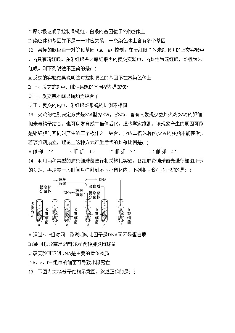 濮阳外国语学校2022-2023学年高一下学期期中生物试卷(含答案)03
