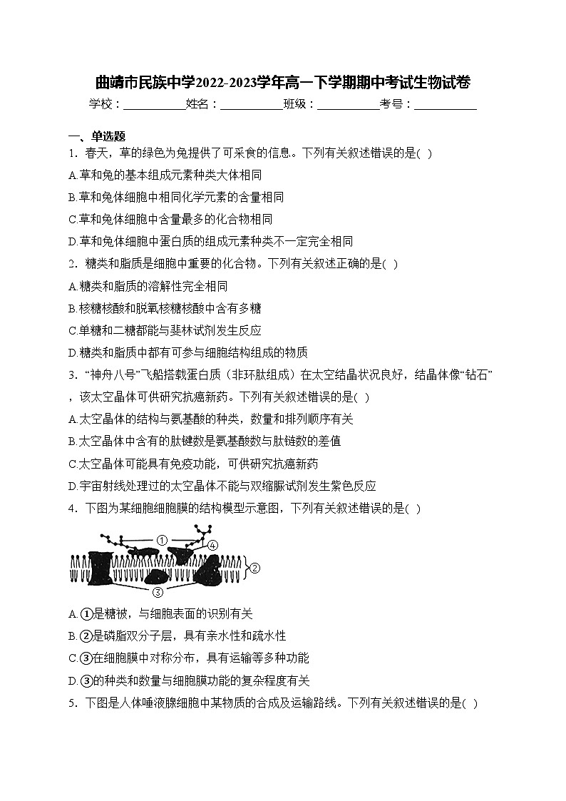 曲靖市民族中学2022-2023学年高一下学期期中考试生物试卷(含答案)01