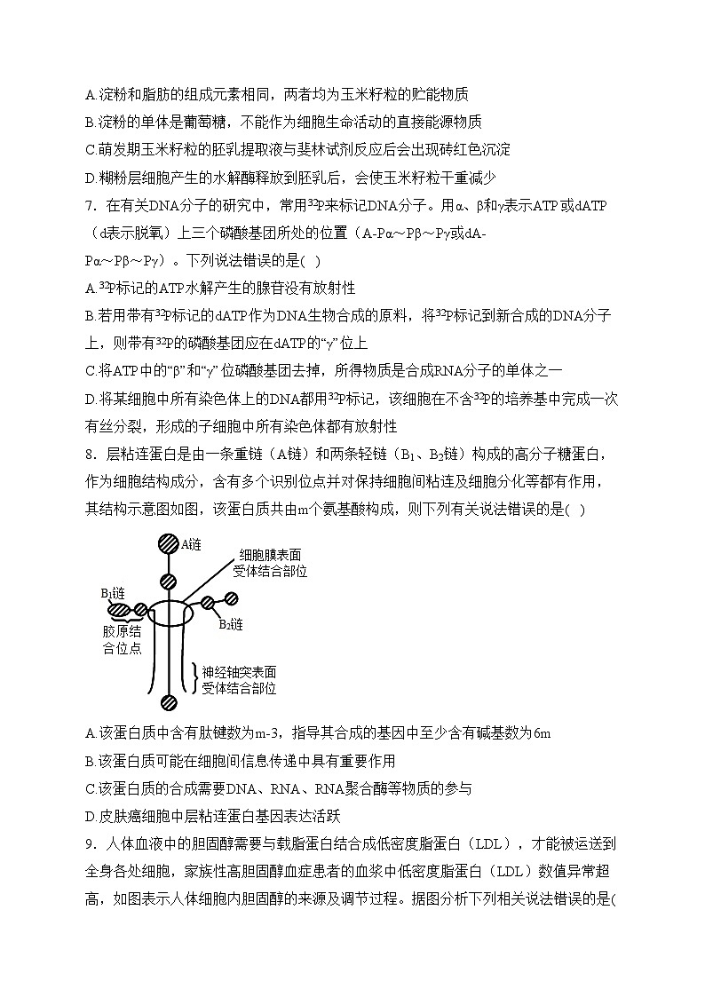 山东省淄博第四中学2022-2023学年高二下学期期中考试生物试卷(含答案)03