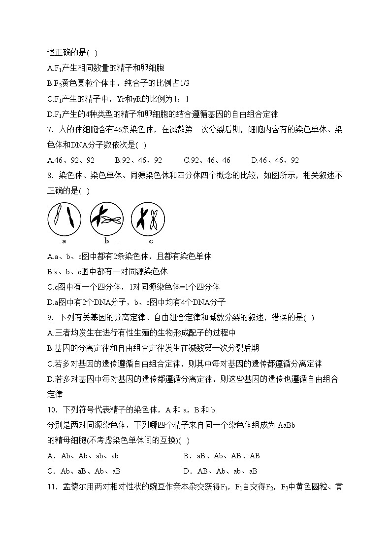 四川省南充市重点中学2022-2023学年高一下学期3月月考生物试卷(含答案)第2页