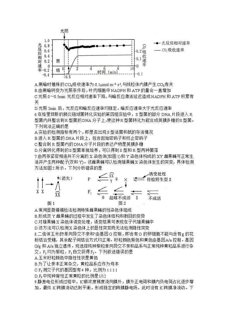 山东省烟台市、菏泽市2023-2024学年高三上学期期末考试生物试题02