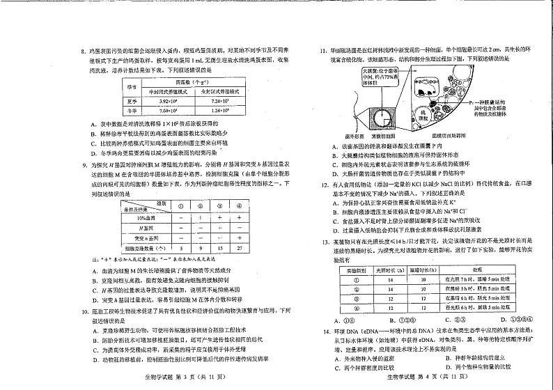 生物（九省联考●吉林卷）丨2024年1月普通高等学校招生全国统一考试适应性测试生物试卷及答案第2页
