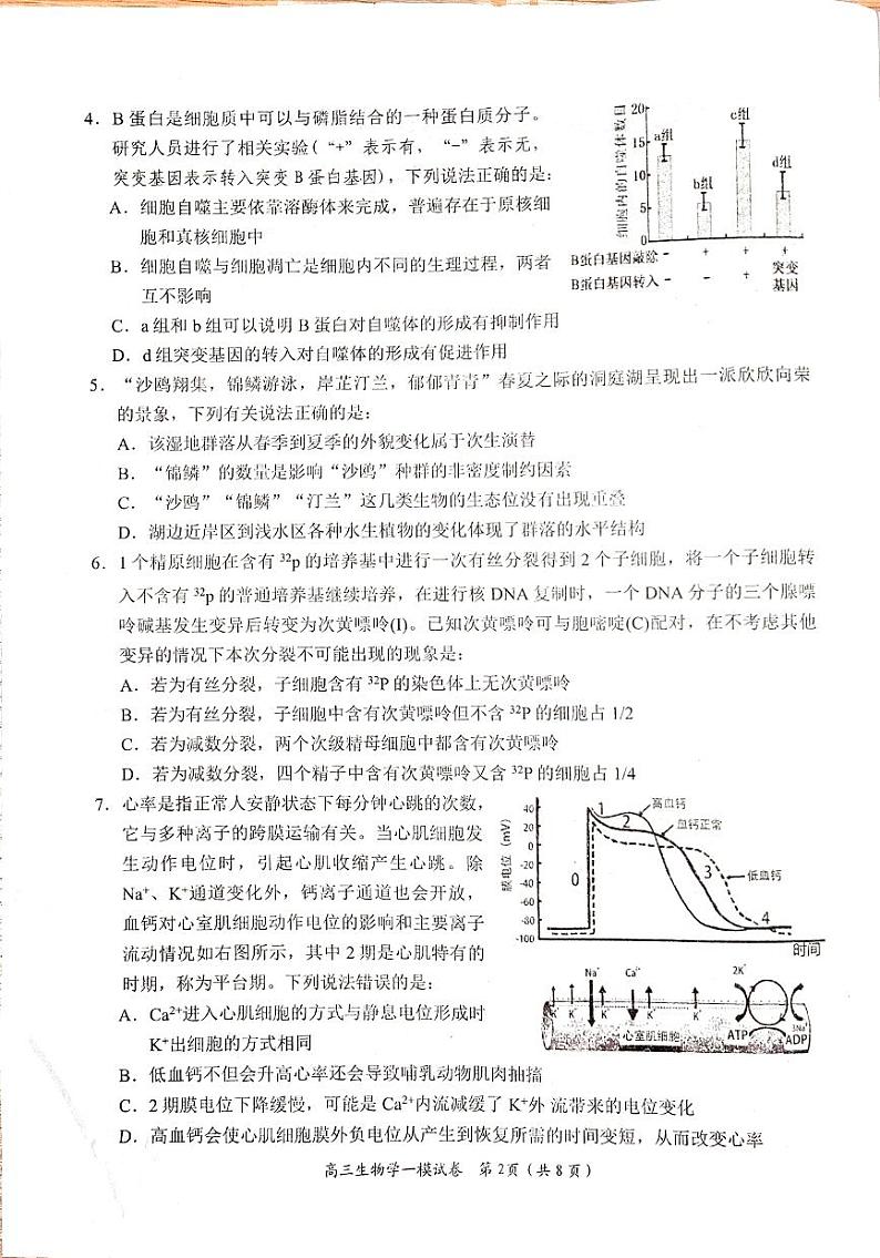湖南省岳阳市2024届高三教学质量监测（一）生物试题（无答案）第2页