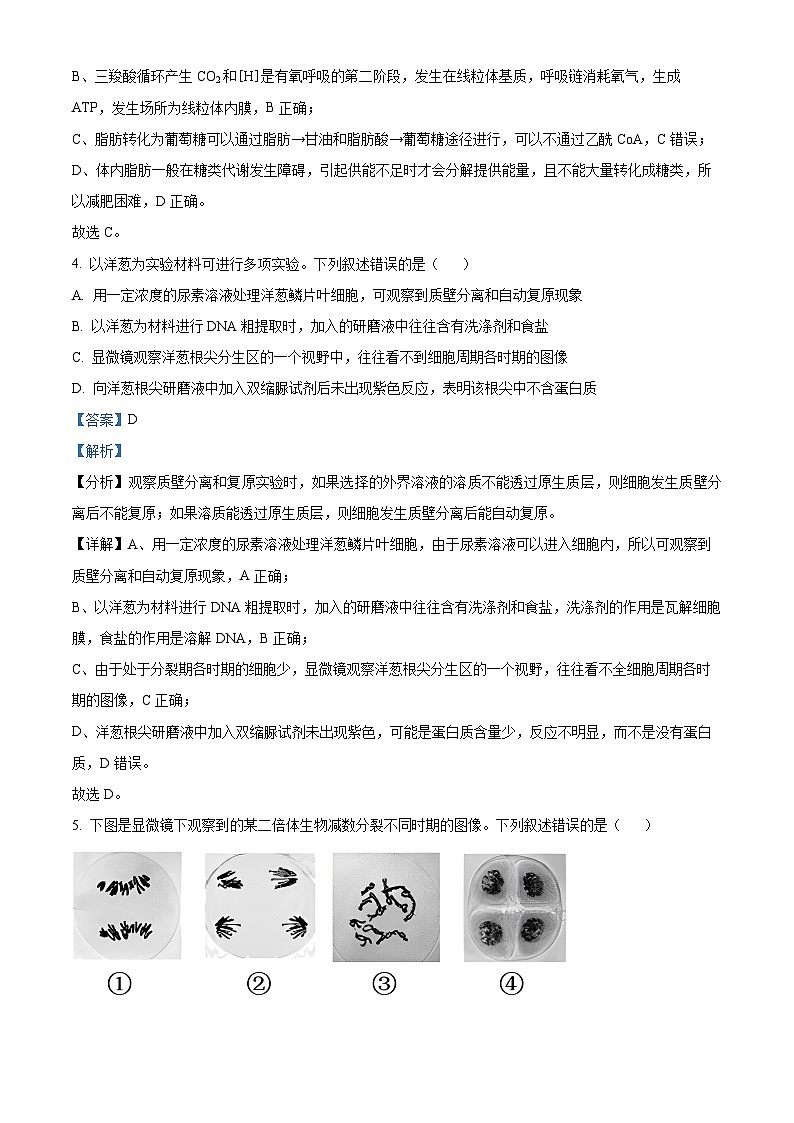 2024扬州高三上学期1月期末考试生物含解析03