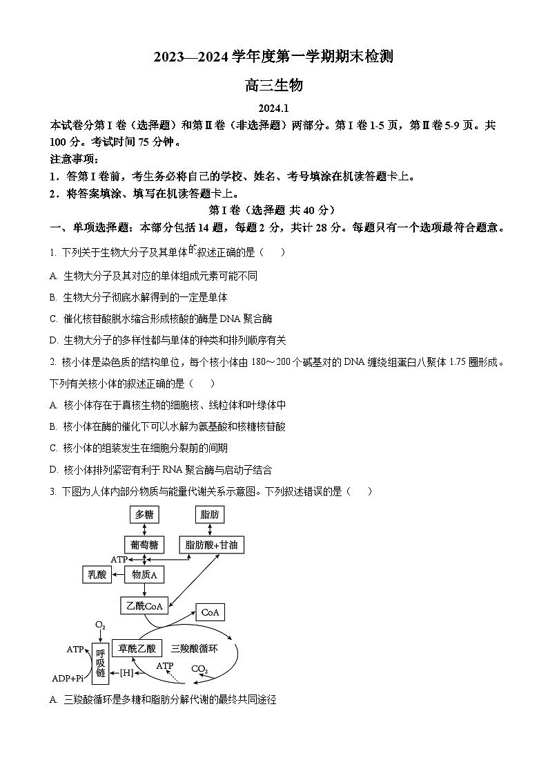 2024扬州高三上学期1月期末考试生物含解析01