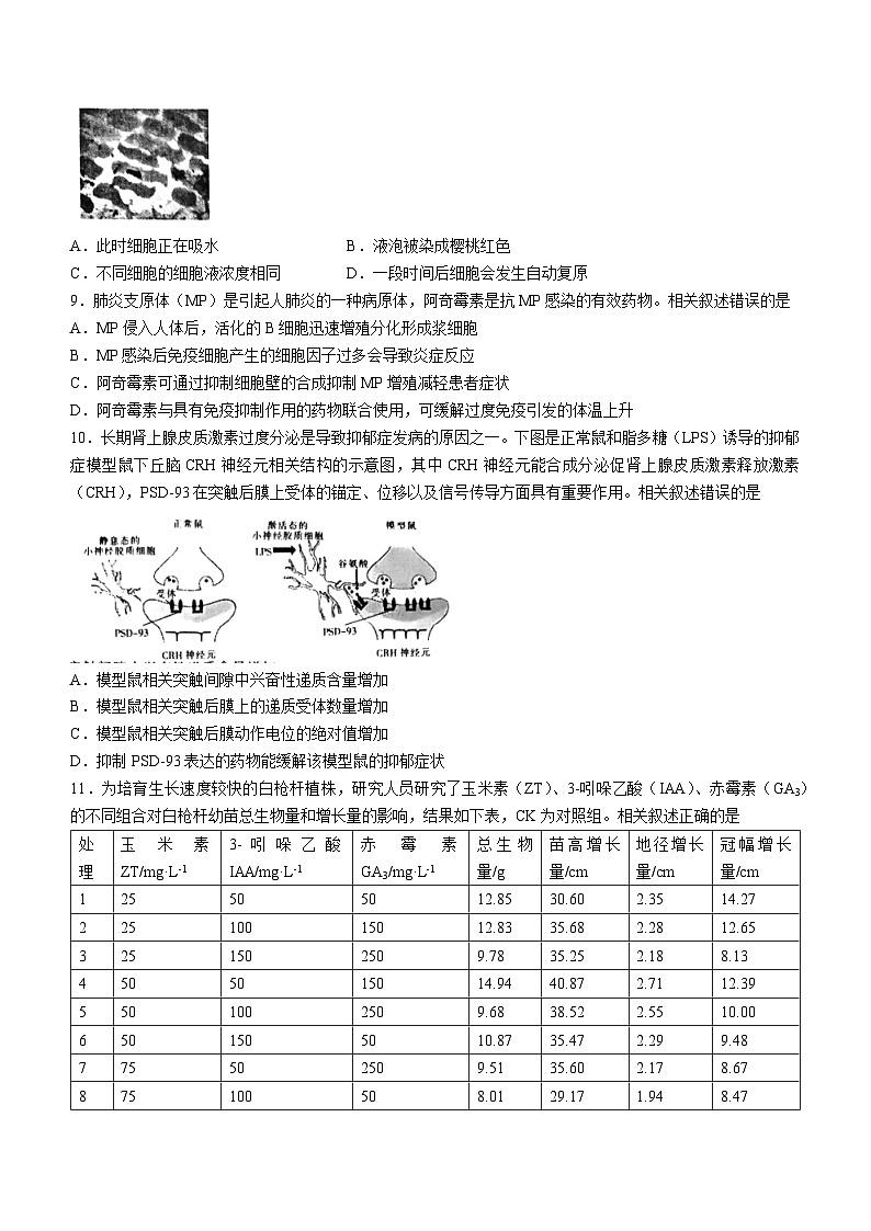 2024南通高三上学期第一次调研测试（一模）生物含答案03