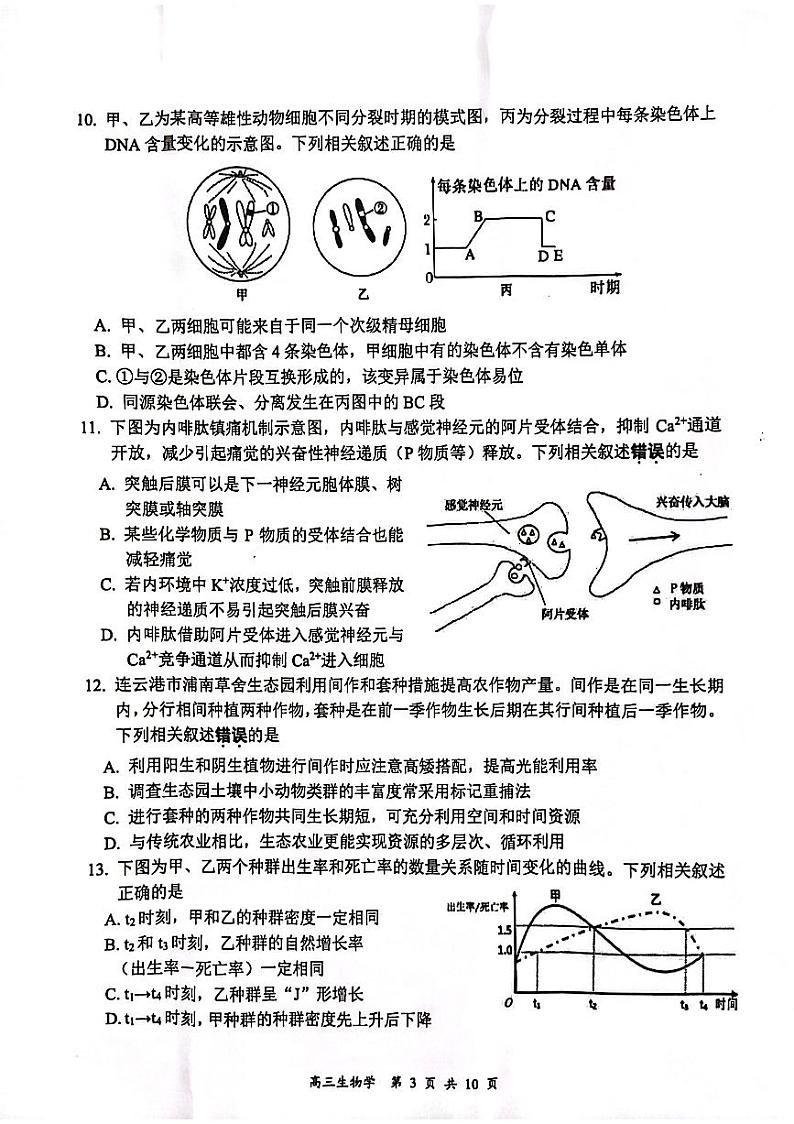 2024连云港高三上学期第一次调研考试（一模）生物PDF版含答案03