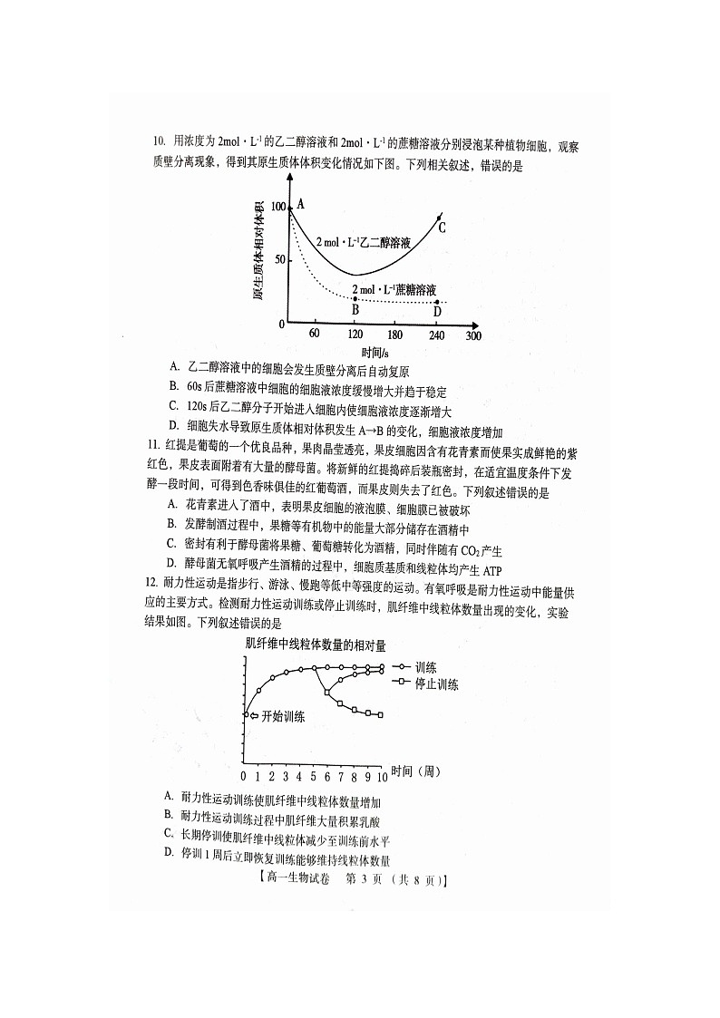 河南省三门峡五县市2023-2024学年高一上学期期末联考生物试题03