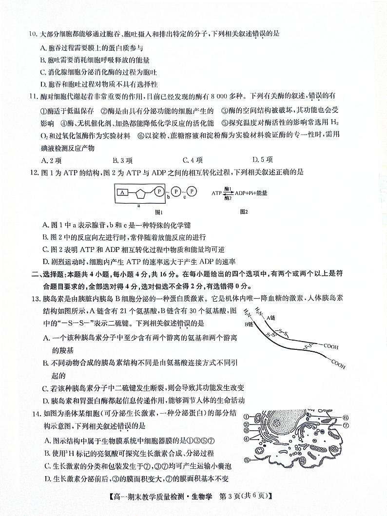 江西省部分学校2023-2024学年高一上学期期末教学质量检测生物学试题03