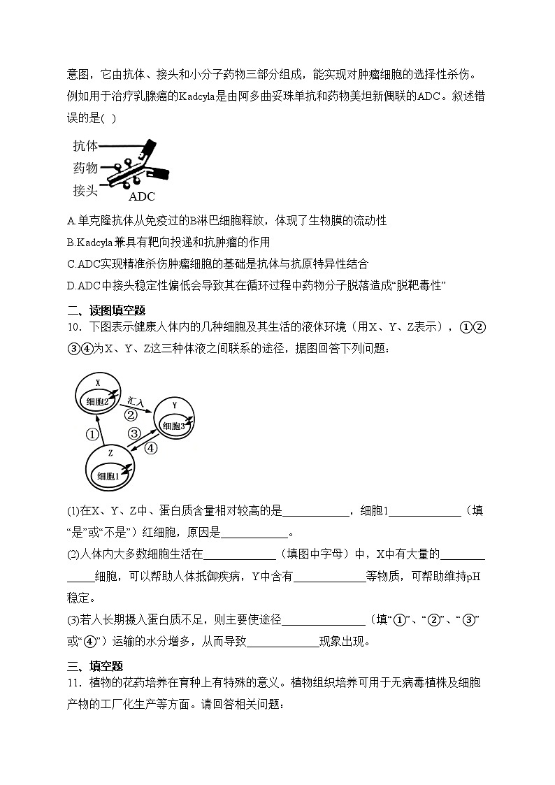宜宾市叙州区第二中学校2022-2023学年高二下学期期中生物试卷(含答案)03