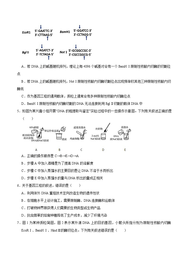 第3章 基因工程（测试卷）-2023-2024学年高二生物下册期中期末专题高分突破02
