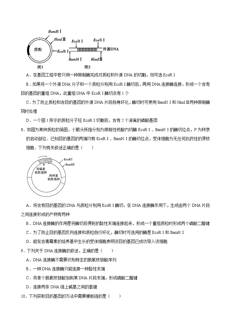 第3章 基因工程（测试卷）-2023-2024学年高二生物下册期中期末专题高分突破03